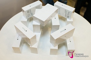 Акция «Дарим Яблоки» в ТРЦ «Галерея Новосибирск»