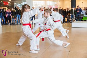 «День Спорта» 15 апреля 2017